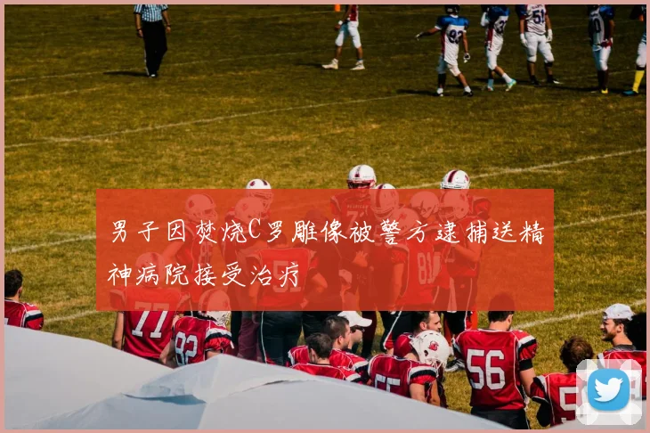 男子因焚烧C罗雕像被警方逮捕送精神病院接受治疗