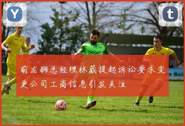 前龙狮总经理林葳提起诉讼要求变更公司工商信息引发关注
